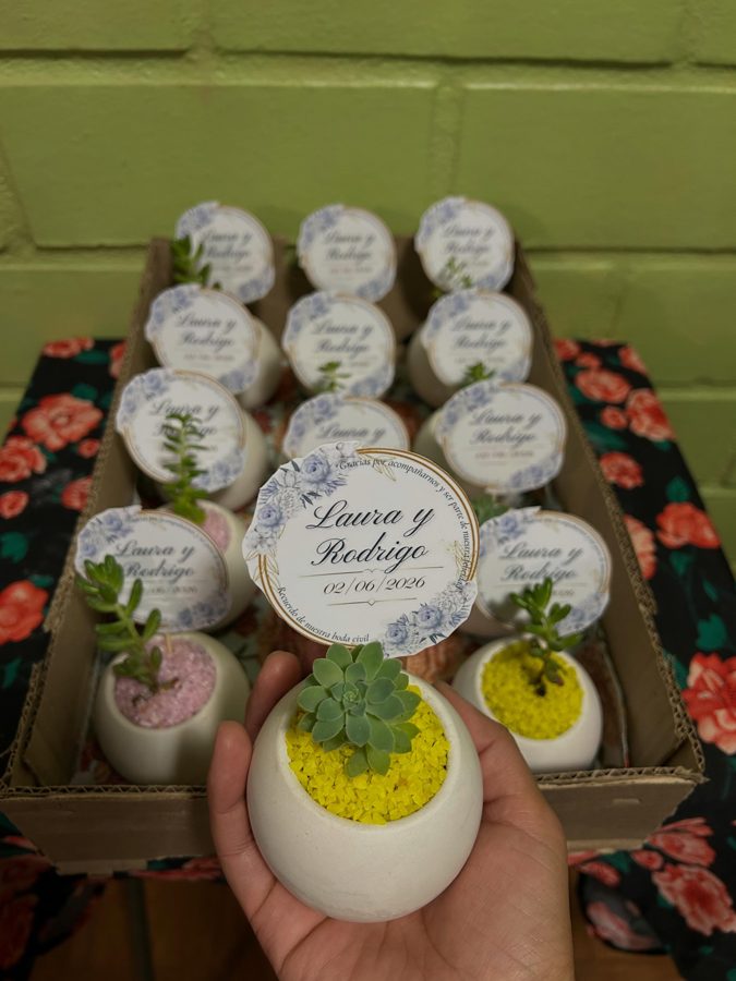 Suculentas para Matrimonios