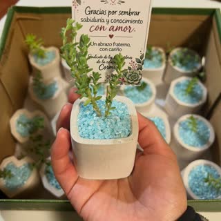 Pedido de Sucu Store
