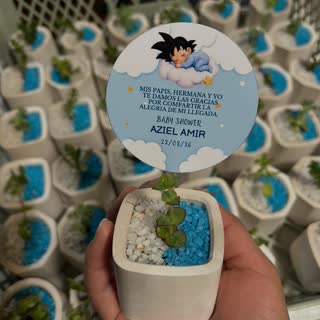 Pedido de Sucu Store