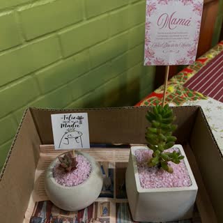 Pedido de Sucu Store