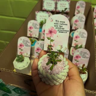 Pedido de Sucu Store